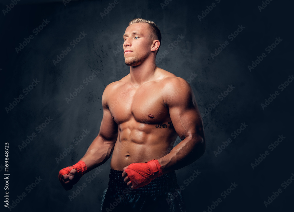 Fototapeta premium Shirtles boxer over grey background.