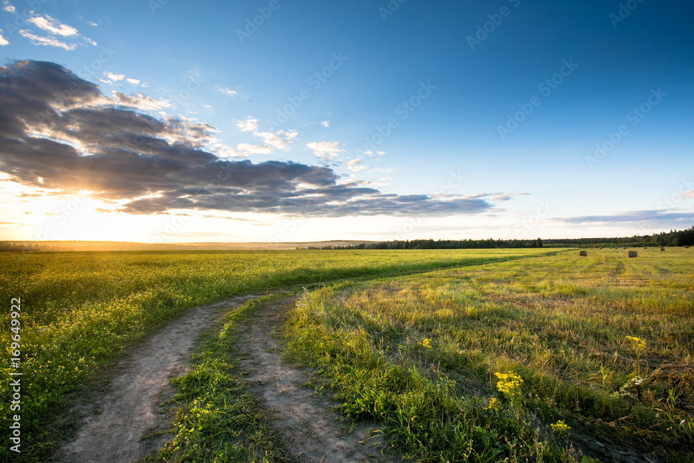 Obraz premium Road in the field against the sunset background