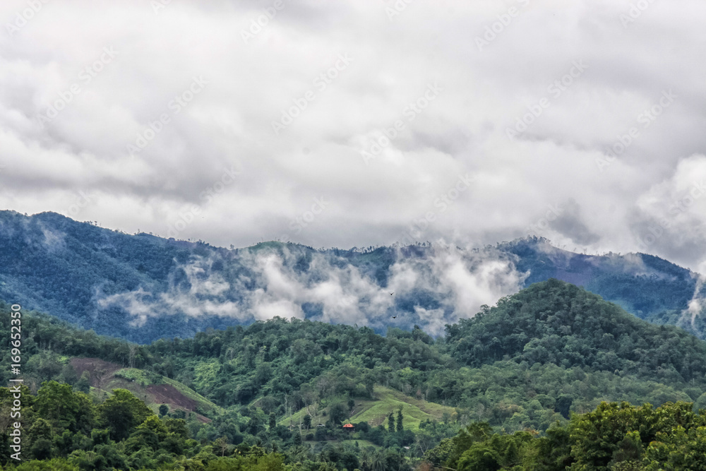 Fototapeta premium Misty Over The Mountains / Misty Over The Mountains Landscape In Rural Thailand