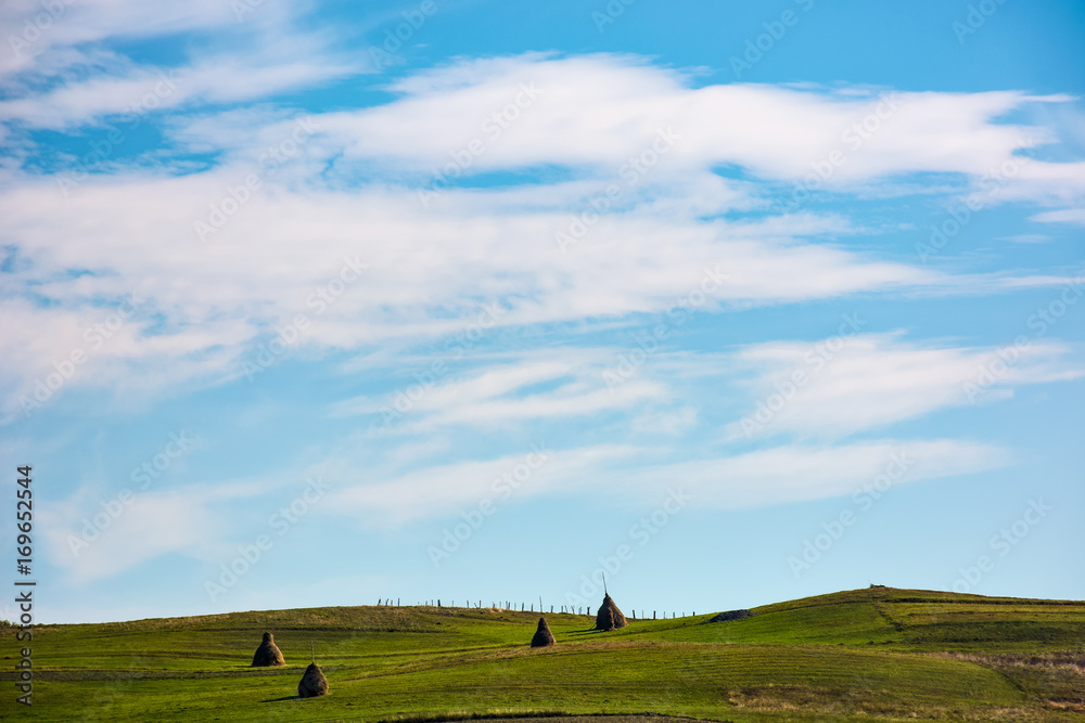 hay stacks on grassy hills under the beautiful cloudy blue sky. lovely Carpathian countryside landscape in early autumn morning hay stacks on grassy hills under the beautiful cloudy blue sky. lovely Carpathian countryside landscape in early autumn morning