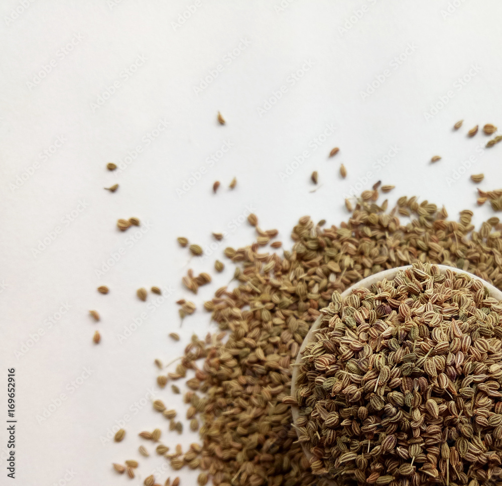 Celery Seeds Celery Seeds