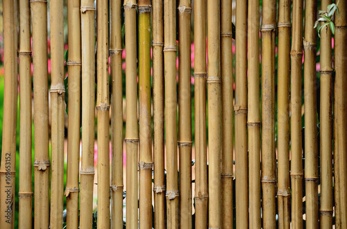 Strong Bamboo wall with nice texture of its shape and lines mostly found in Thailand Japan and asia house fence