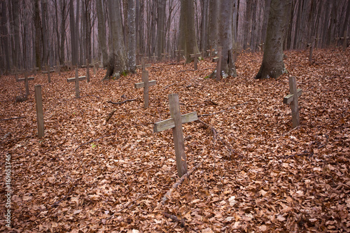Old partisans graveyard on Petrova gora mountain near Vojnic, Croatia photo