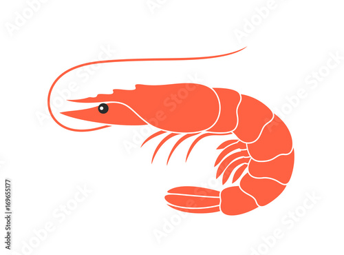 Shrimp 