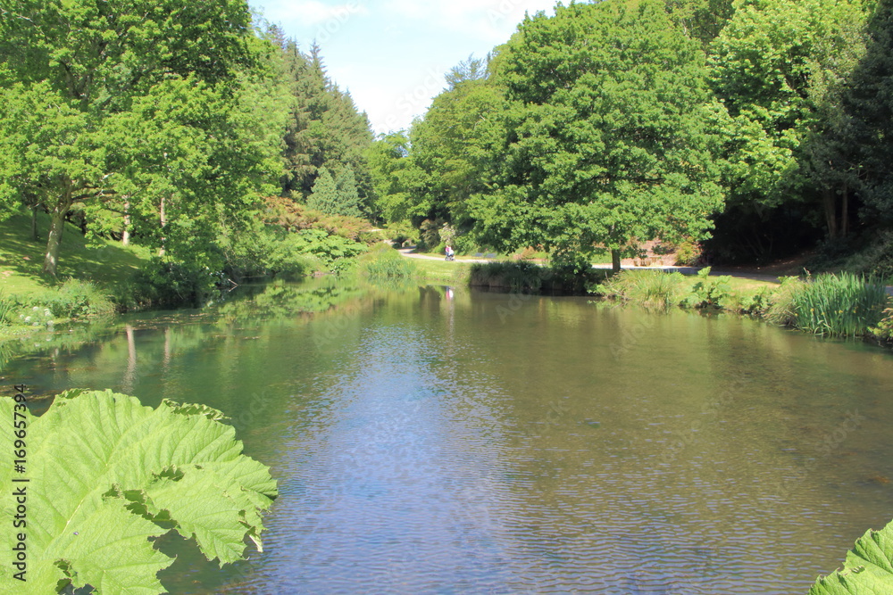 Étang dans un parc Étang dans un parc
