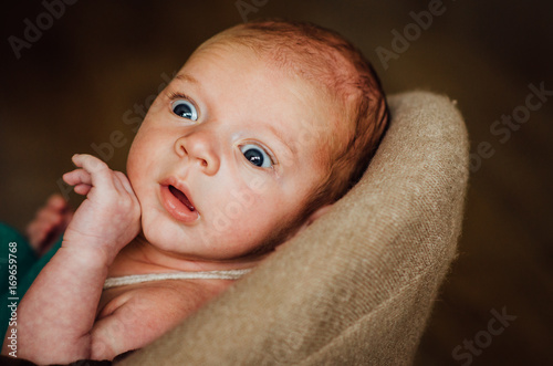 cute newborn looks surprised at the camera 