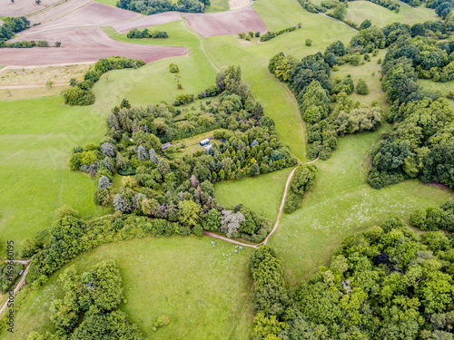 Aerial view of trees on a meadow © Mario