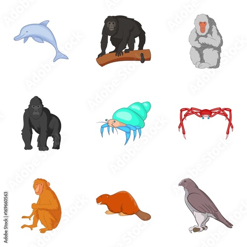 Ape icons set  cartoon style