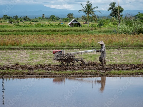 Farmer using walking tractors for rice plantation in Lombok, Indonesia