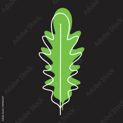 Rucola or arugula doodle icon vector illustration for design and web isolated