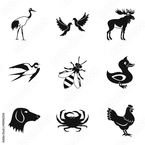 Flying animal icons set  simple style