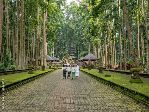 Sacred Monkey Forest Sanctuary in Ubud, Bali, Indonesia