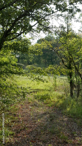 Lot et Garonne - France