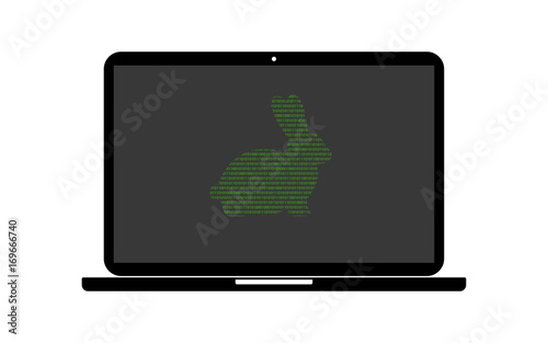 Hacker Laptop Kaninchen