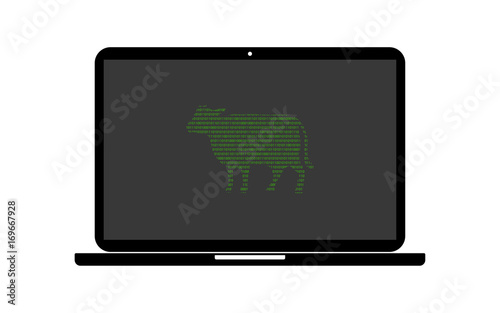 Hacker Laptop Rind