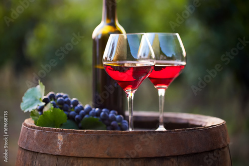Two glasses of red wine and bottle in the vineyard