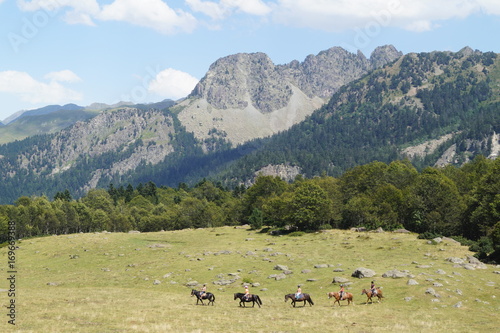 cheval;, Pyrénées, montagne, gris, vert, religion, amour, beauté, vache, animaux