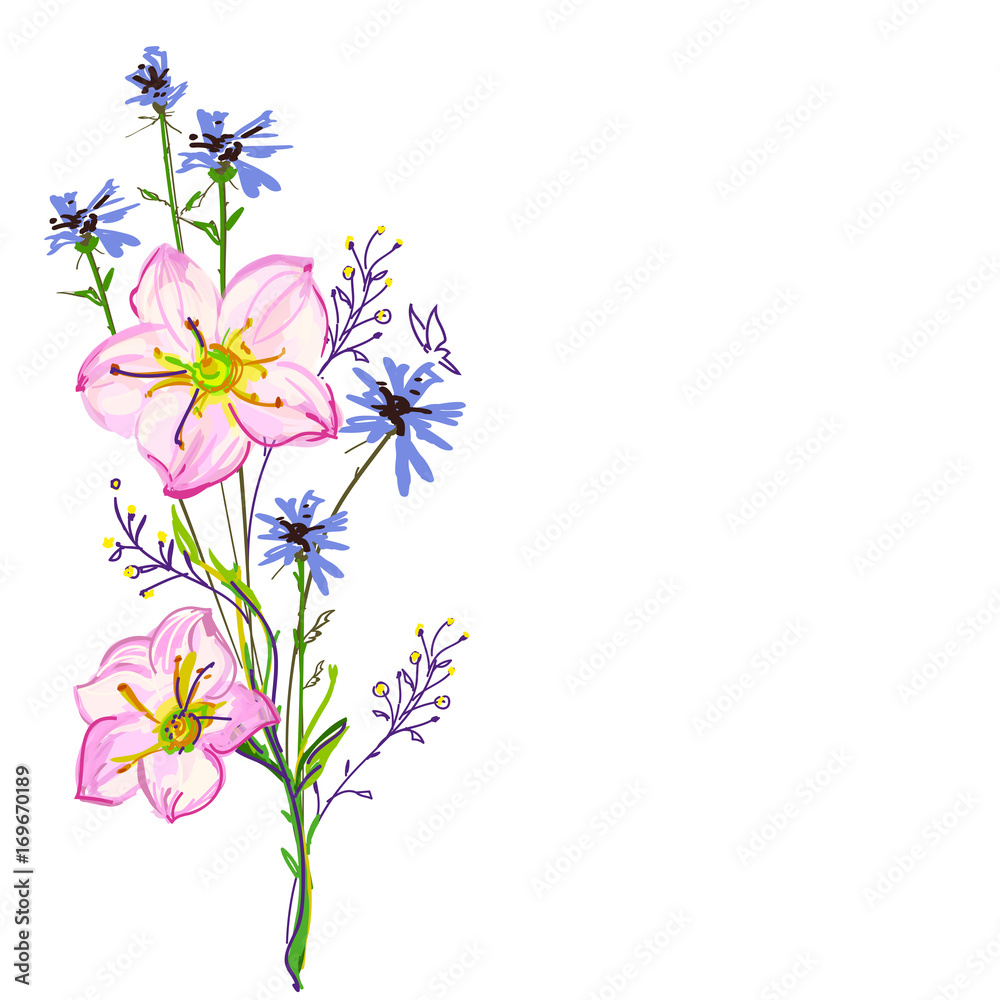 Beautiful wildflowers, bouquet, isolated  on a white