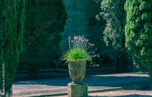 Jardin des Plantes, Montpellier, Languedoc, France. One of the oldest gardens in the world. Planted to learn about the medical properties by the University of Montpellier.