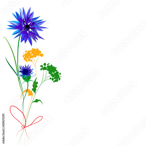 Beautiful wildflowers  bouquet  isolated  on a white