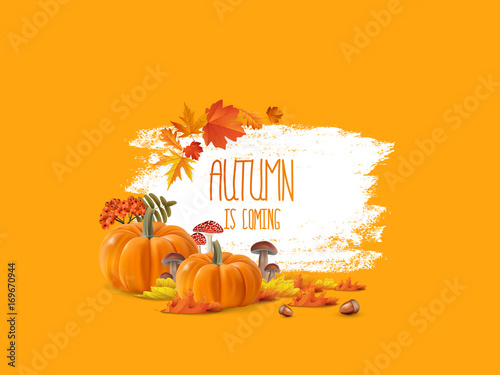  autumnal abstract background in grunge style 