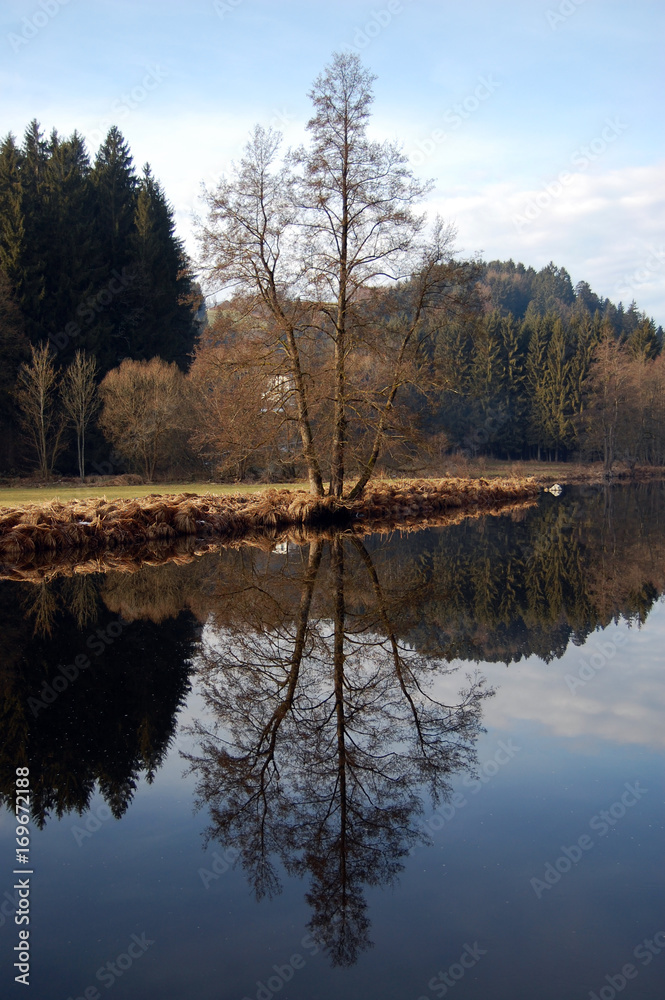 Fototapeta premium Wasserspiegelungen