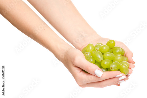 Female hands with grape bunches