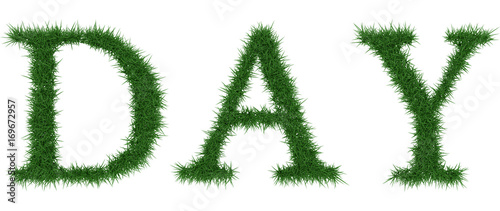 Day - 3D rendering fresh Grass letters isolated on whhite background.