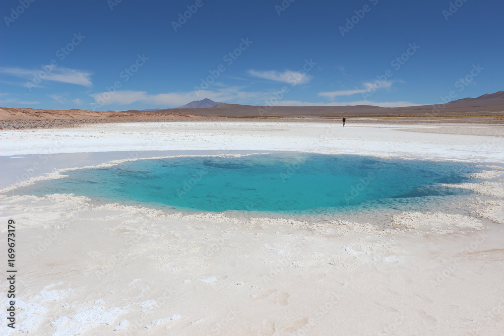 Ojos de mare région Tolar Grande