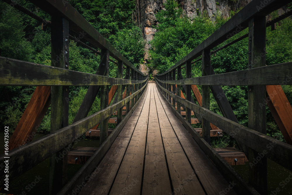 Bridge into the nature