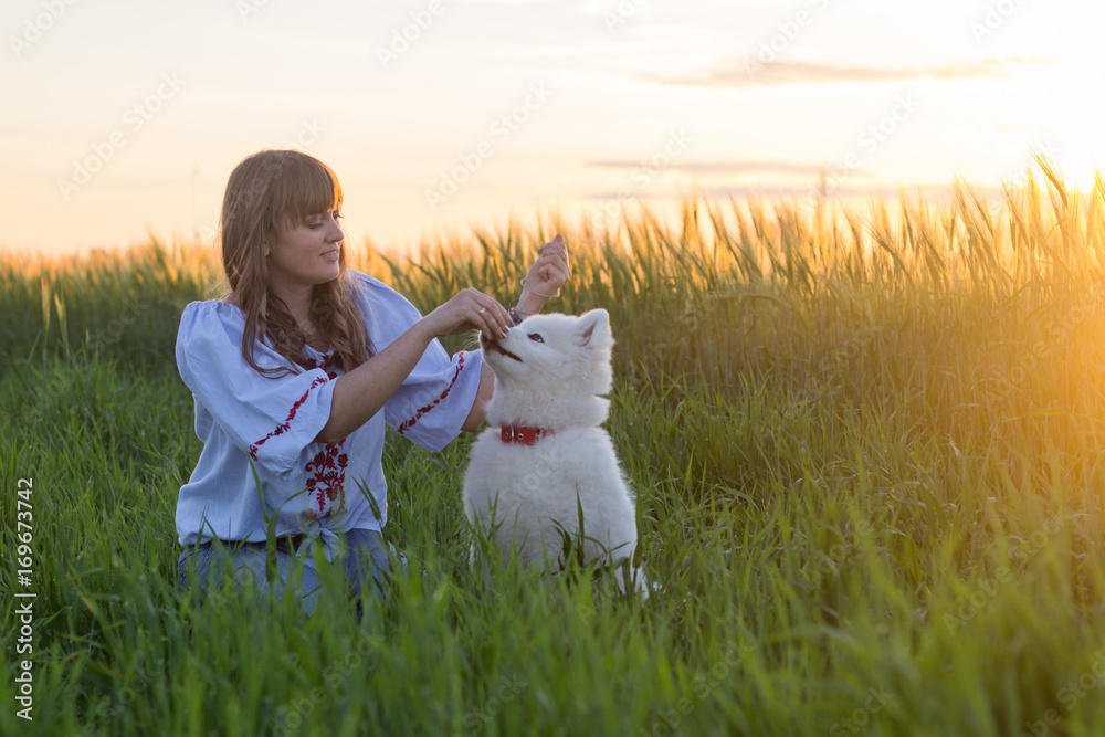 portrait of woman and white puppy of husky dog in the fields, green grass and sunset background portrait of woman and white puppy of husky dog in the fields, green grass and sunset background