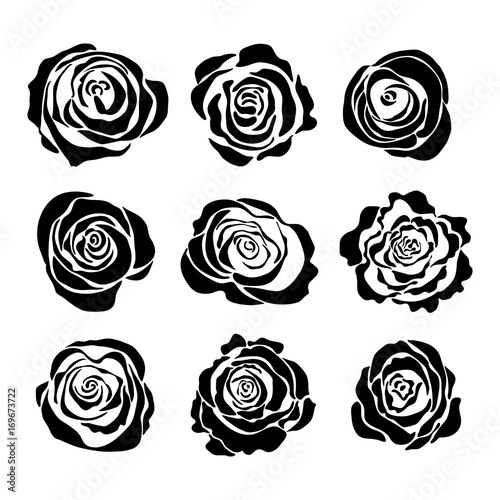 Vector template roses. Set of flowers.