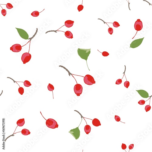 Seamless pattern of wild apples and leaves on a white background