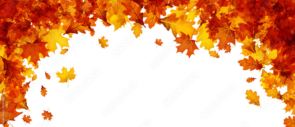 Autumn banner with orange leaves. - obrazy, fototapety, plakaty 