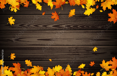 Autumn background with orange leaves.