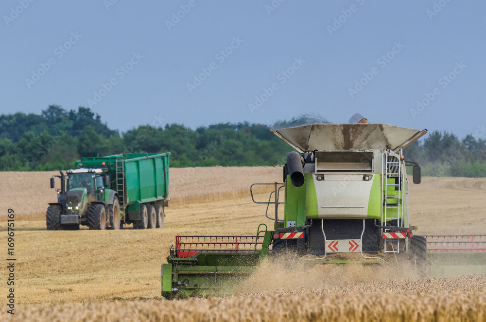 Obraz premium AGRICULTURAL MACHINERY - Harvester and tractor on the field