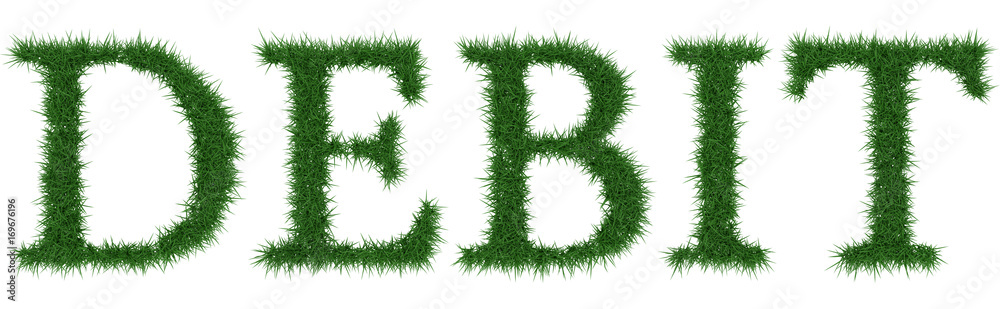 Debit - 3D rendering fresh Grass letters isolated on whhite background. Debit - 3D rendering fresh Grass letters isolated on whhite background.