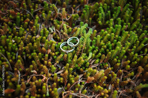 Wedding rings on wedding card on a grass background