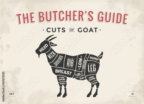 Cut of meat set. Poster Butcher diagram, scheme - Goat. Vintage typographic hand-drawn goat silhouette for butcher shop, restaurant menu, graphic design. Meat, poultry theme. Vector Illustration