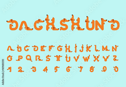 Dachshund font. Dog alphabet. Lettering home animal. ABC pet