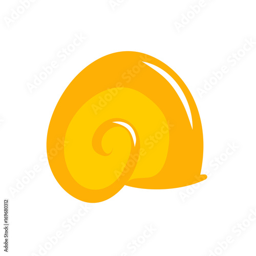 Shell from cochlea are isolated. Spiral for shellfish