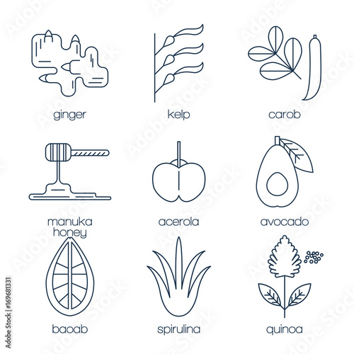 Superfood line icons set.