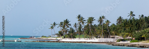 a tropical beach with coconut palm