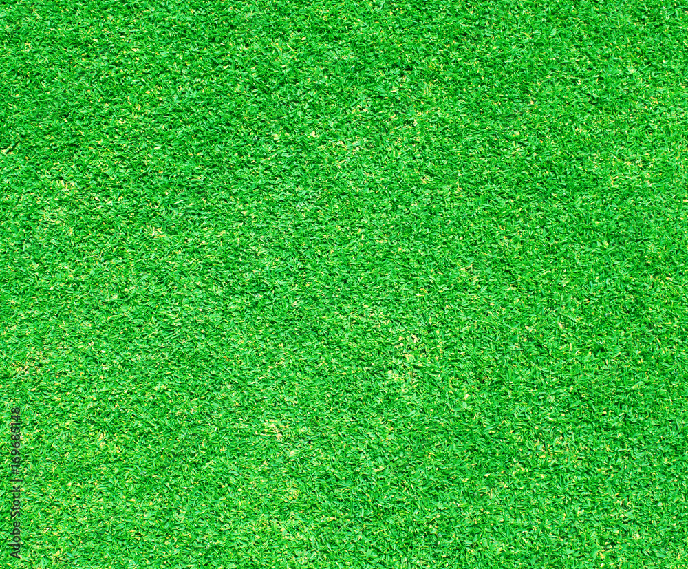 Fototapeta premium grass