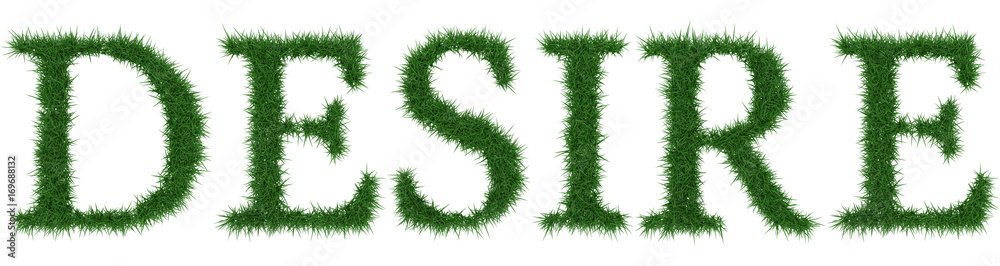 Desire - 3D rendering fresh Grass letters isolated on whhite background. Desire - 3D rendering fresh Grass letters isolated on whhite background.