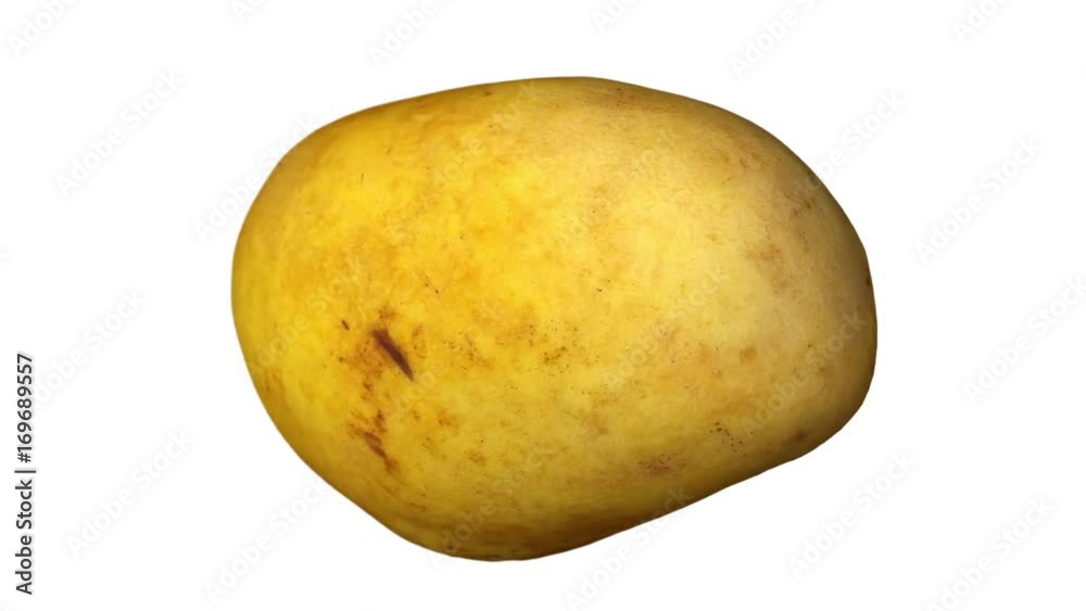 3D render of a rotating yellow (Ataulfo) mango on white background. The video is seamlessly looping.
3D render of a rotating yellow (Ataulfo) mango on white background. The video is seamlessly looping.