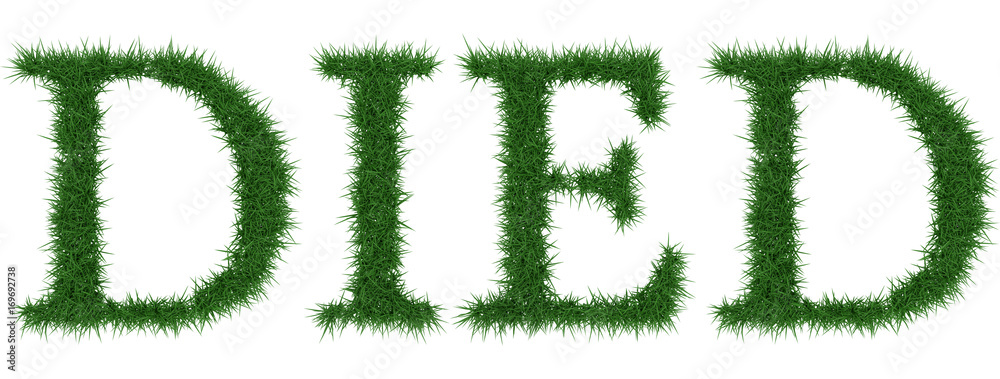 Died - 3D rendering fresh Grass letters isolated on whhite background. Died - 3D rendering fresh Grass letters isolated on whhite background.