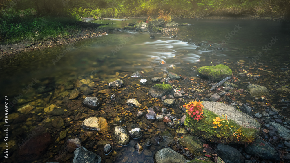 River and rocks on a misty summer morning River and rocks on a misty summer morning