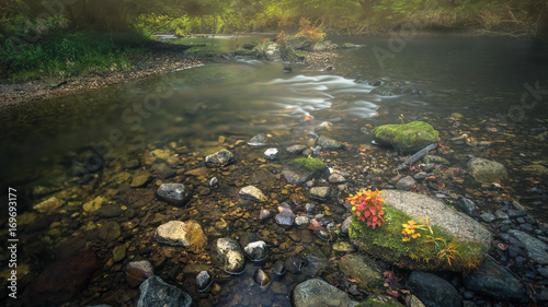 River and rocks on a misty summer morning