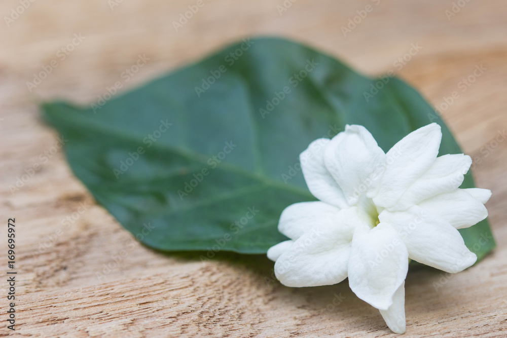 Jasmine flowers on wooden background ,soft focus Jasmine flowers on wooden background ,soft focus